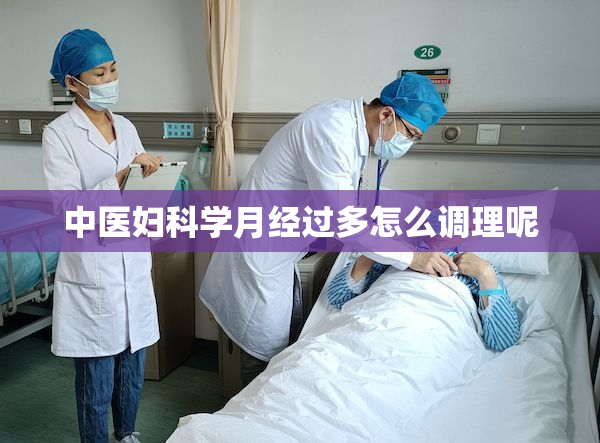 中医妇科学月经过多怎么调理呢