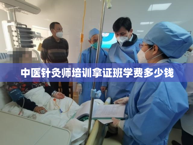 中医针灸师培训拿证班学费多少钱