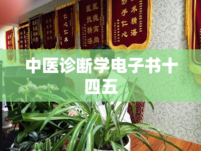 中医诊断学电子书十四五