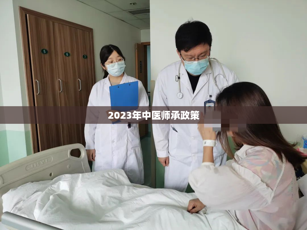 2023年中医师承政策