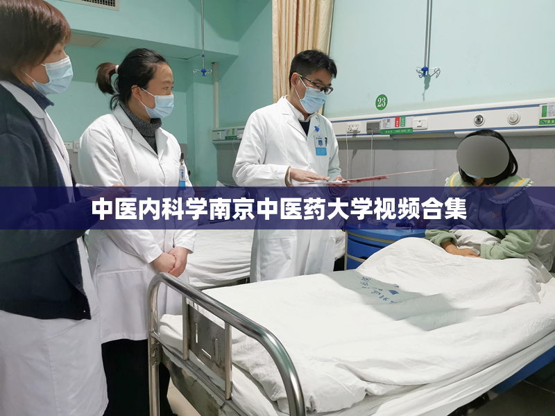 中医内科学南京中医药大学视频合集