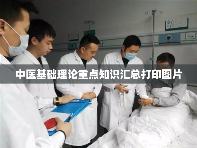 中医基础理论重点知识汇总打印图片