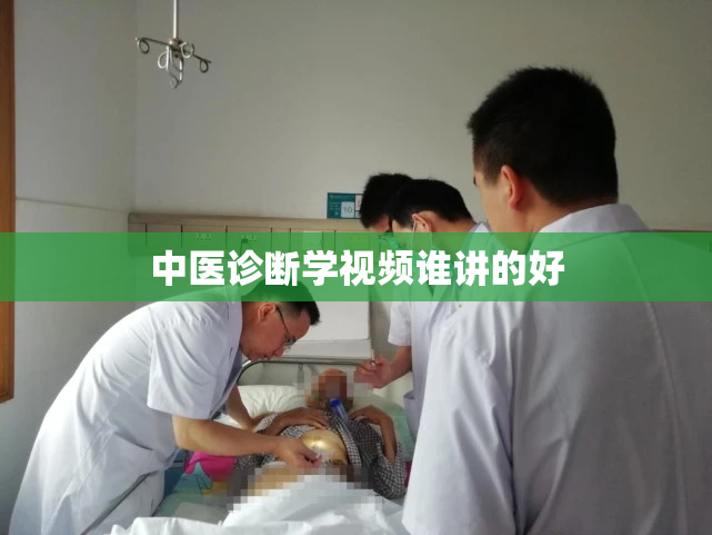 中医诊断学视频谁讲的好