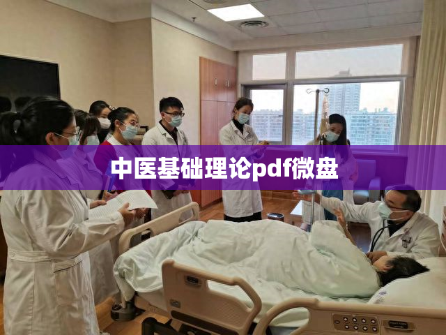 中医基础理论pdf微盘