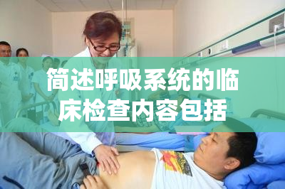 简述呼吸系统的临床检查内容包括