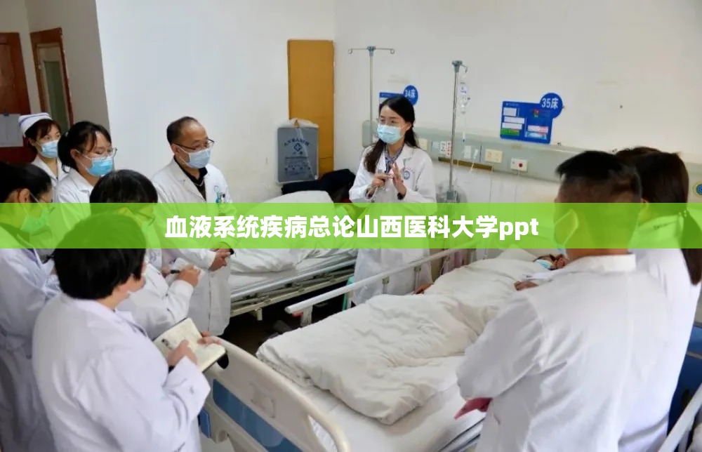 血液系统疾病总论山西医科大学ppt