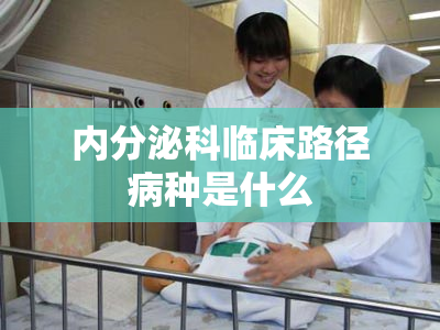 内分泌科临床路径病种是什么