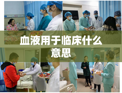 血液用于临床什么意思