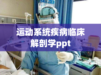 运动系统疾病临床解剖学ppt