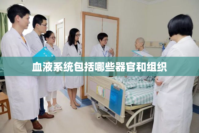 血液系统包括哪些器官和组织