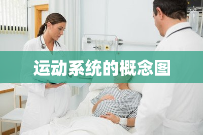 运动系统的概念图