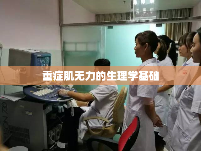 重症肌无力的生理学基础