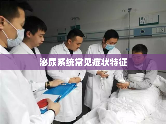 泌尿系统常见症状特征