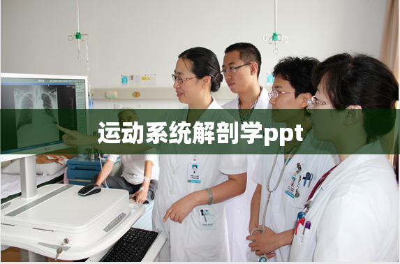 运动系统解剖学ppt