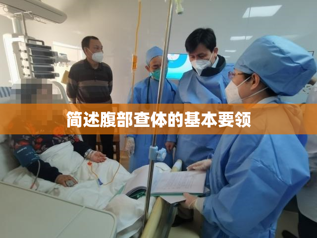 简述腹部查体的基本要领