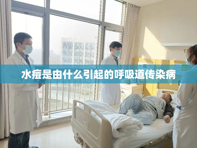 水痘是由什么引起的呼吸道传染病