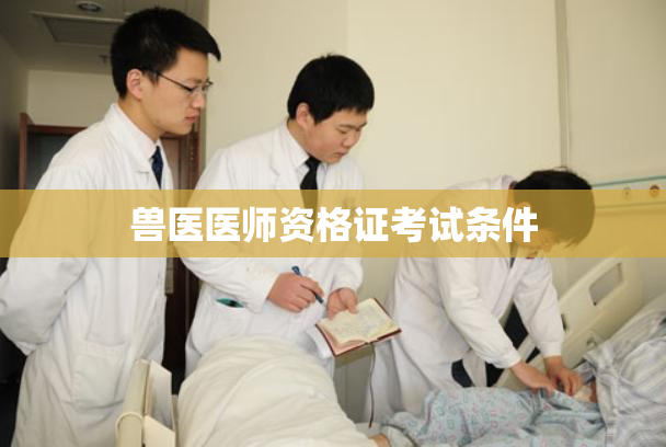 兽医医师资格证考试条件