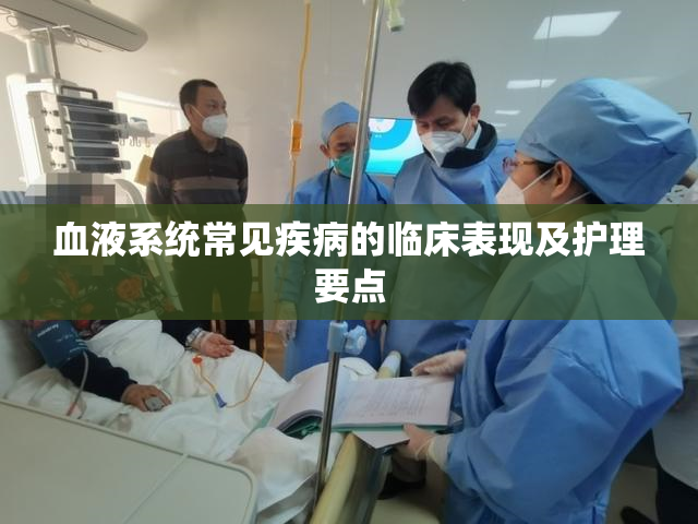 血液系统常见疾病的临床表现及护理要点