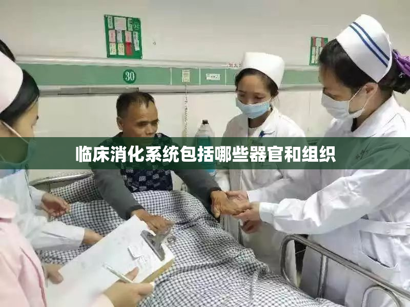 临床消化系统包括哪些器官和组织