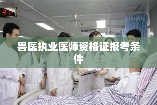 兽医执业医师资格证报考条件