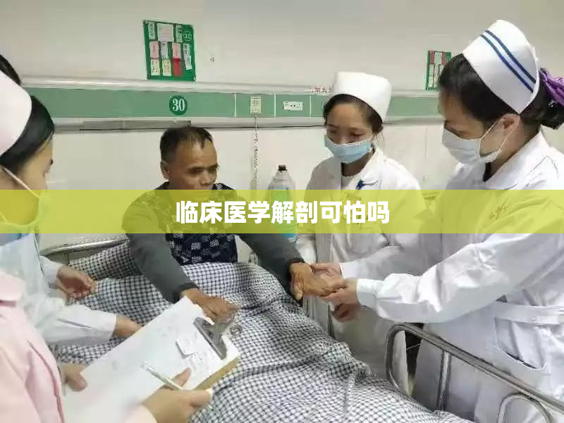 临床医学解剖可怕吗