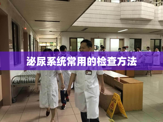 泌尿系统常用的检查方法