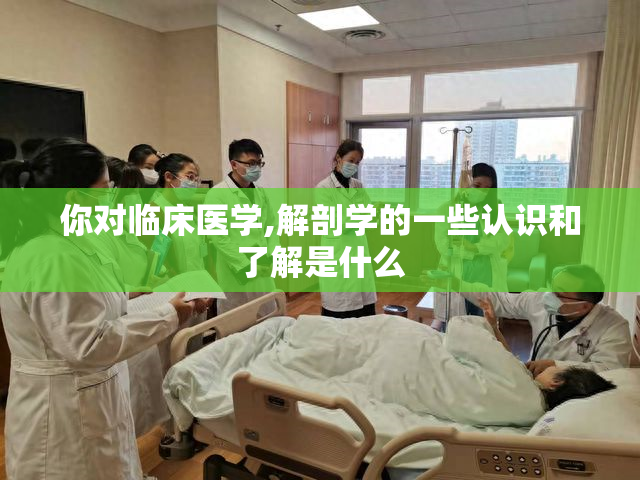 你对临床医学,解剖学的一些认识和了解是什么