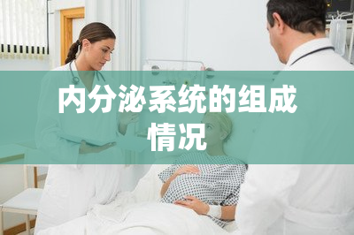 内分泌系统的组成情况