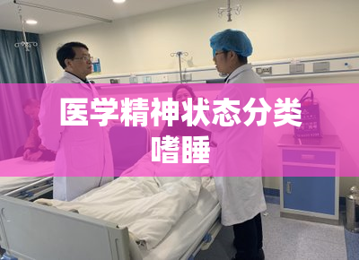 医学精神状态分类嗜睡