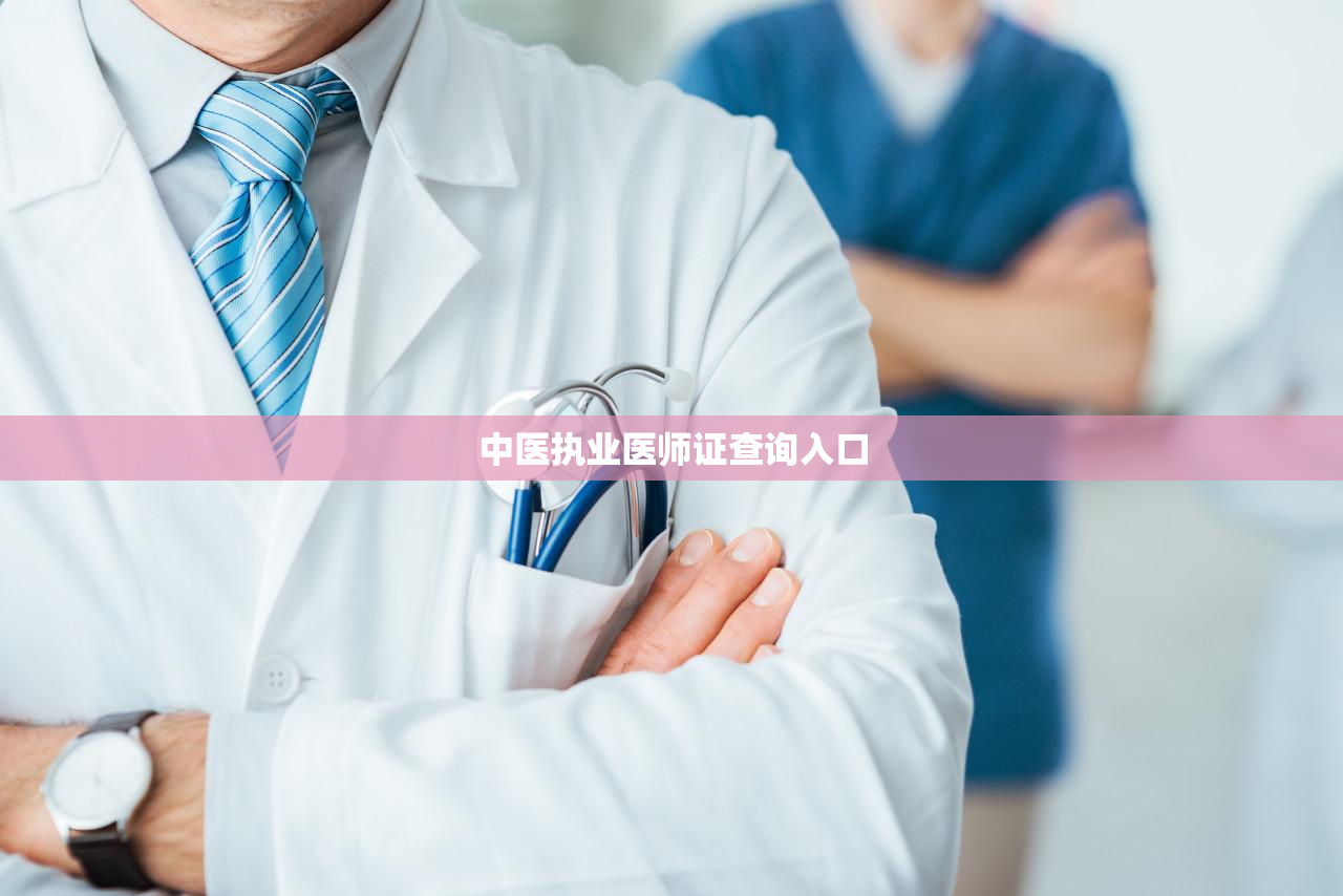 中医执业医师证查询入口