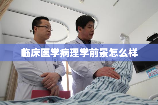 临床医学病理学前景怎么样