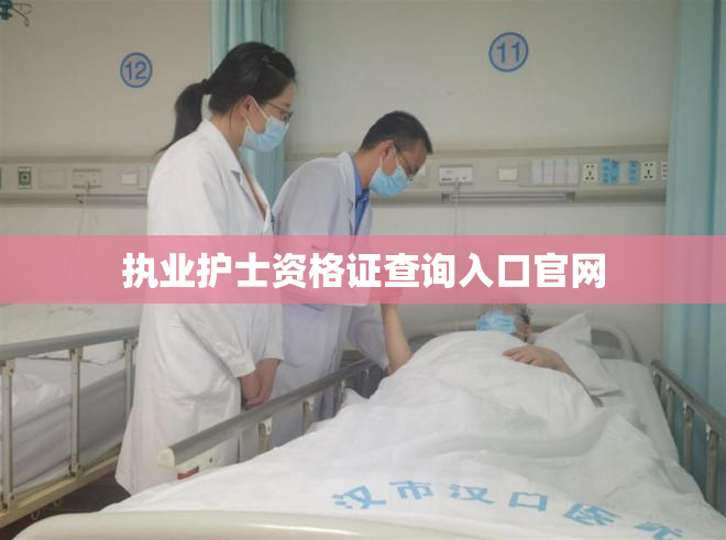 执业护士资格证查询入口官网