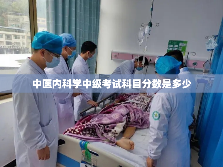 中医内科学中级考试科目分数是多少